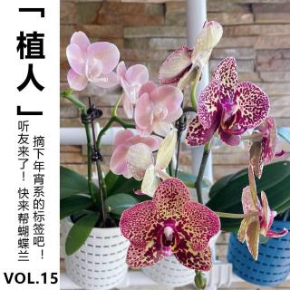 Vol.15【植人】听友来了~ 快来帮蝴蝶兰摘下年宵系的标签吧！