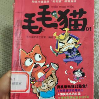 毛毛猫