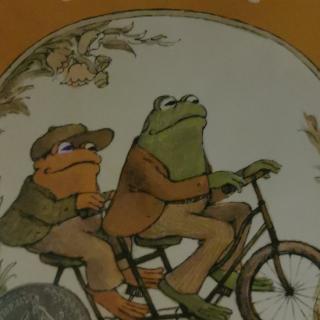 Frog and toad together12