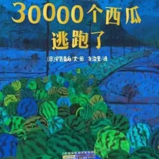 30000个西瓜逃跑了