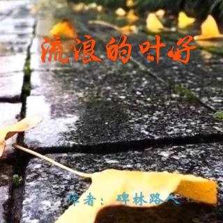 《流浪的叶子》作者：碑林路人 诵读：大连伙计