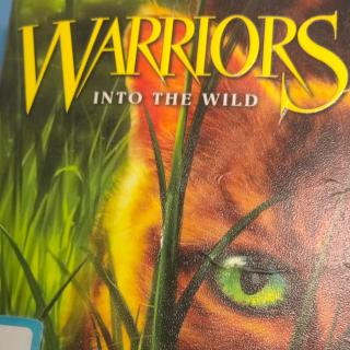 Warriors 41