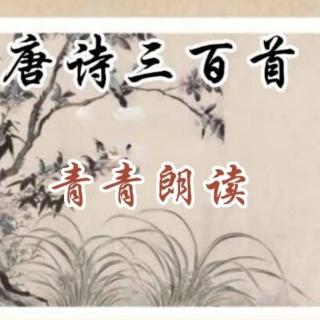 唐诗300|石鱼湖上醉歌 元结