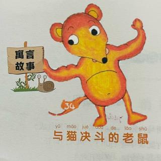 睡前故事2253《小寓言大语文》之《与猫决斗的老鼠》