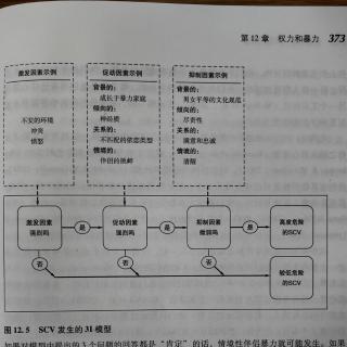 第12章：权利和暴力8