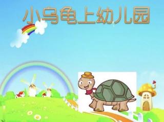 【日照中心园晚安故事370】- 小乌龟上幼儿园