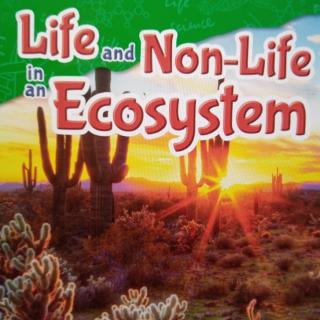 Life and Non-Life in an Ecosystem