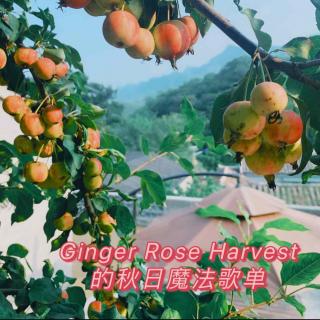 #23 Ginger Rose Harvest的秋日魔法歌单