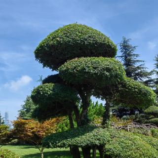 《草原八月末》梁衡