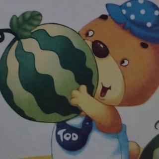 《小🐻种西瓜🍉》