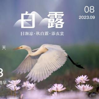 《寄诸用明书》9月8日 2遍