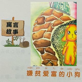 睡前故事2261《小寓言大语文》之《嫌贫爱富的小狗》