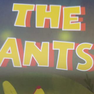 The ants蚂蚁