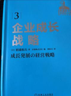 企业成长战略（13-22）