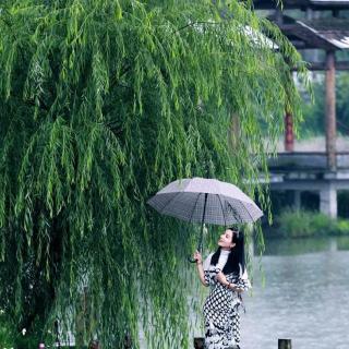 谷雨怀思·拾柴女生