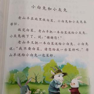 小白兔和小灰兔    彭睿涵