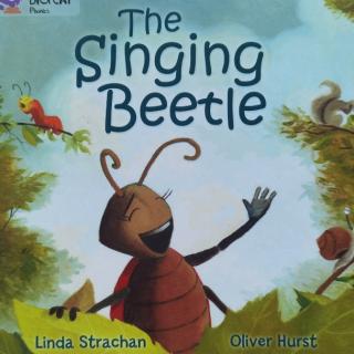 Big cat-The singing beetle