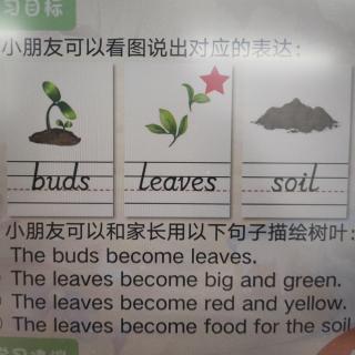 how leaves change