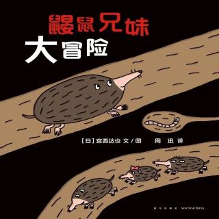 桃子姐姐绘本故事推荐第105期《鼹鼠兄妹大冒险》