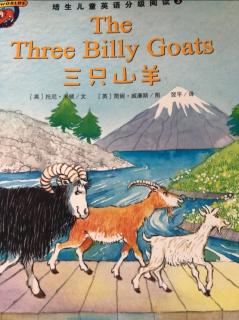 the three billy goats