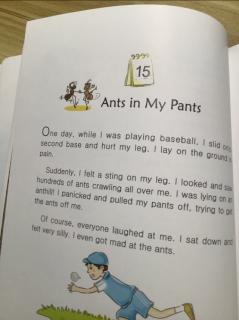 9-15 Ants in my Pants