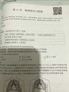 《贺银成国家临床执业医师资格考试辅导讲义》下第十八篇11章