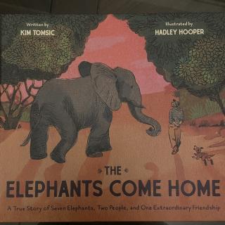 The elephants come home（9-17）～samuel