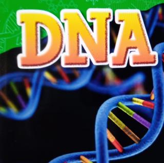 DNA