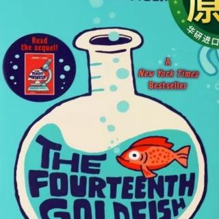 3 The fourteenth goldfish