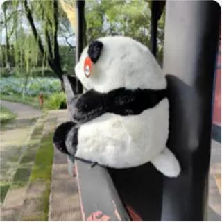 熊猫🐼音乐7