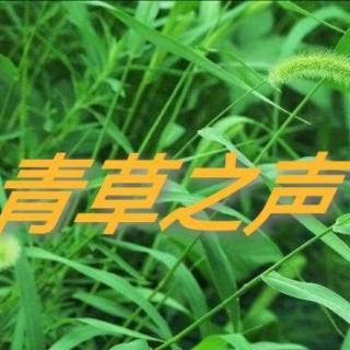 赵海洋-秋意浓背景音乐