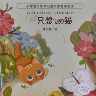 夜读《一只想飞的猫》