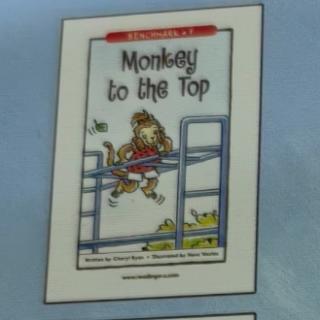 Monkey to the Top