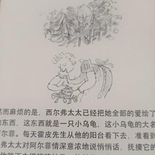 小乌龟是怎样变大的1