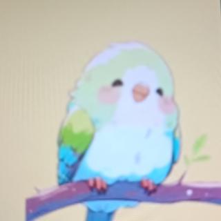 小鸟🐦妈妈上班了