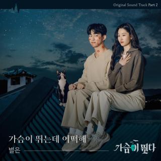 ByeolEun - 心跳加速怎么办(心跳 OST Part.2)
