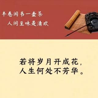 今日花语:有什么，要什么，做什么。