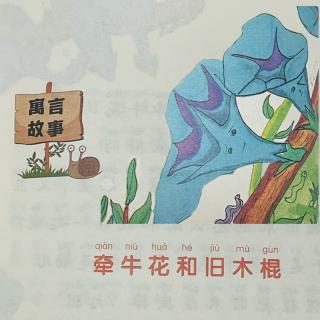 睡前故事2277《小寓言大语文》《牵牛花和旧木棍》