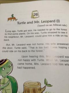 9-26 Turtle and Mr.Leopard (1)