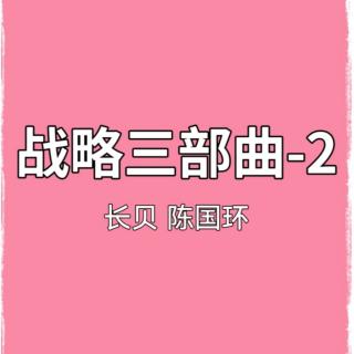 战略三部曲-2