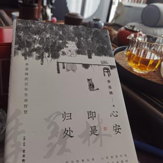 《心安即是归处》 季羡林