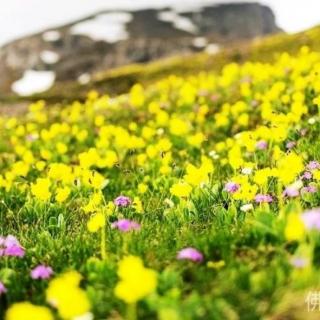 《使命与发心》第三节