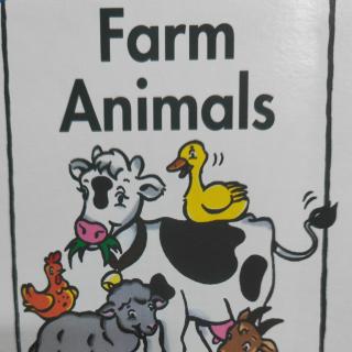 001.Farm Animals