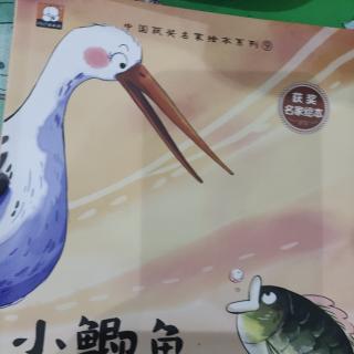 小鲫鱼🐟和小水鸟🐦