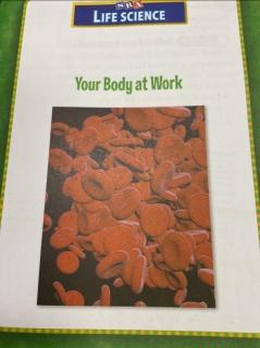 Elva Your Body at Work 5