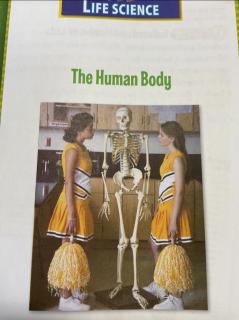 Elva The Human Body 1