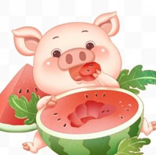 小猪🐷吃西瓜🍉