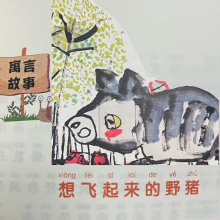 睡前故事2287《小寓言大语文》之《想飞起来的野猪》