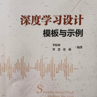 【读专著】《深度学习设计模板与示例》第193天