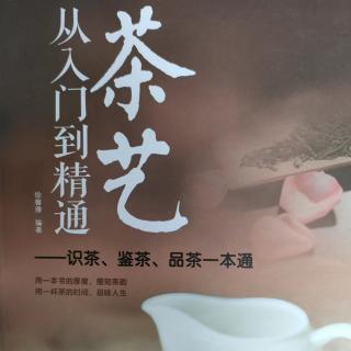 《茶艺》～初识黄茶